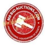 Mr Bid Auctions Logo (NFS)