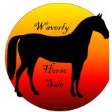 Waverly Midwest Horse Sale