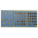 42 Indian head pennies