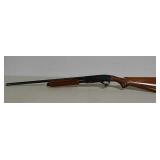 Remington 870 .410 pump action