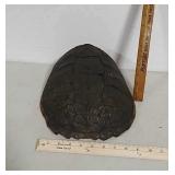 Snapping turtle shell