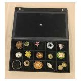 Costume pins, earings, and bracelet w/ case