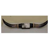 Mounted steer horns