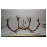 Caribou rack