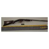 Savage 22 pump otc barrel gun