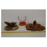 Quail mount antlers +