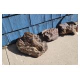 Four Pieces of Petrified Wood