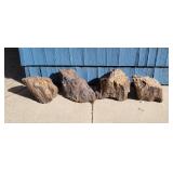Four Large Pieces of Petrified Wood