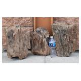 Landscape Rocks Petrified Wood