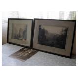 3 Vintage Photographs Yosemite & CA Redwooods