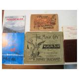 Books on 1893 Worlds Fair & Disasters