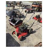 MTD 4.5/21 SNOW BLOWER & RALLY PUSH MOWER