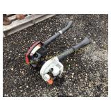 (2) Leaf Blowers 
Echo 
Homelite