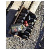 NEW SA 30 DIESEL MOTOR OIL 16 QTS