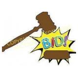 PRACTICE BIDDING LOT FOR NEW BIDDERS