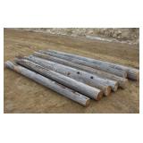 (7) 10FT LONG CEDAR POSTS