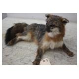 FOX MOUNT
