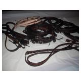 (17) LEATHER REINS