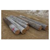 (6) 10FT LONG CEDAR POSTS