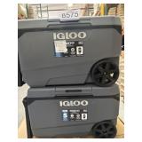 (3) Igloo Maxcold 90 QT. Cooler