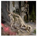 2 pcs 5 ft skellys cat