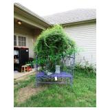 Purple metal plant structure