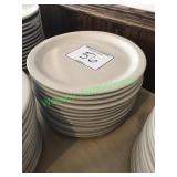1 stack of 10 inch dinner plates