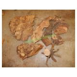 6 Pieces Burl Wood in Group
