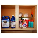 Contents of Shelf, Cleaning Chemicals, Paint &