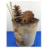 Old Metal Pail with Pinecones