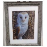 Deep 3D Owl Picture