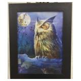 3D Owl Picture