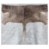 WildeBeest Hide