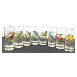 Birds of North America Hiball Glasses (8)