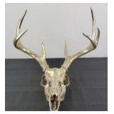 Deer Skull Mount, Silver Painted
