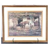 Mare & Colt Framed Print