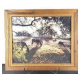 Grazing Horses Framed Photo/Print