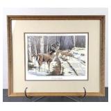 White Tail Deer Matted and Framed Print