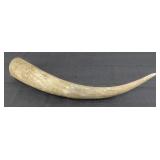 Bull Horn 22.5"
