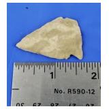 Indian Arrowhead