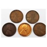 1909 VDB Lincoln Wheat Cents (5)