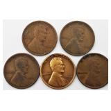 1909 VDB Lincoln Wheat Cents (5)