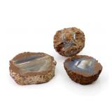 Thunderegg Collection (3)