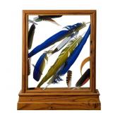 Wood Frame Feather Display Case