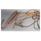 Silver Accent Leather Horse Bridle & Martingale