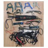 Canvas Horse Halters +