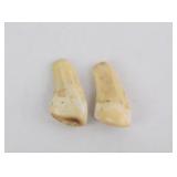 Elk Ivory Set