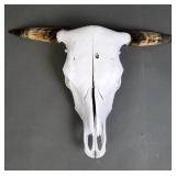 Brahma Bull Skull