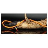 Orange Spiney Oyster Shell Beaded Necklace, 18"