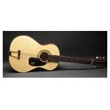 Acoustic "N" Guitar